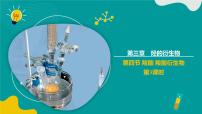 高中化学人教版 (2019)选择性必修3第三章 烃的衍生物第四节 羧酸 羧酸衍生物课堂教学课件ppt