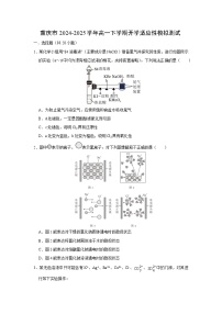 重庆市2024-2025学年高一(下)开学适应性模拟测试化学试卷（解析版）