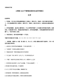 2025年1月云南省普通高等学校招生考试适应性测试（八省联考）化学试题（无答案）