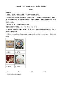 2025年1月河南省普通高等学校招生考试适应性测试（八省联考）化学试题