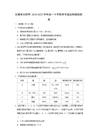 安徽省合肥市2024-2025学年高一下学期开学适应性模拟测试化学试题（解析版）