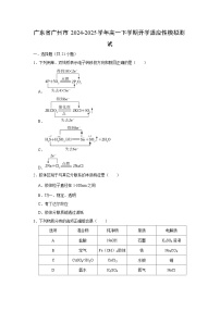 广东省广州市2024-2025学年高一下学期开学适应性模拟测试化学试题（解析版）