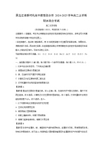 黑龙江省新时代高中教育联合体2024-2025学年高二上学期期末联合考试化学试卷（解析版）