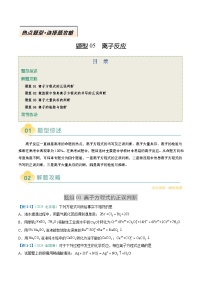 题型05 离子反应-高考化学二轮热点题型归纳与变式演练（新高考通用）