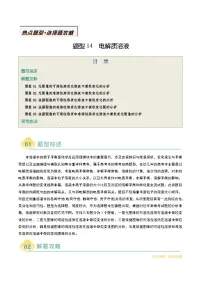 题型14 电解质溶液-高考化学二轮热点题型归纳与变式演练（新高考通用）