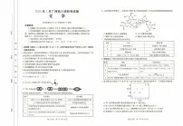 广西南宁市2024-2025学年高三上学期一模化学试卷（PDF版附答案）