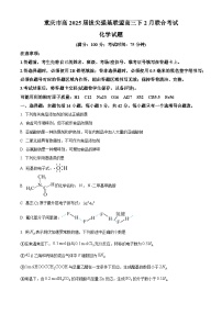 重庆市拔尖强基联盟2024-2025学年高三下学期2月联合考试化学试卷（含答案）