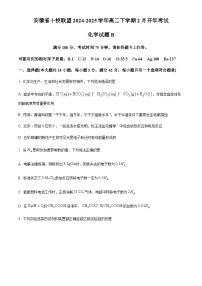 安徽省十校联盟2024-2025学年高二下学期2月开年考试化学试题（含答案）