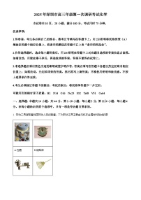 广东省深圳市2024-2025学年高三下学期第一次调研考试化学试题（含答案）