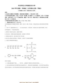 2024～2025学年上海市华东师范大学附属东昌中学高二上期末考试化学试卷(含答案)
