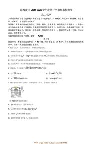 2024～2025学年天津市滨海新区高二上期末化学试卷(含答案)