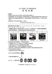 2024-2025学年百师联盟高三下学期2月开学摸底联考化学试题