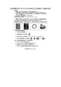 江西省新余市2024-2025学年高三上学期第一次模拟化学试题（扫描版）
