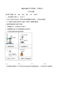 安徽省部分重点高中2024-2025学年高一上学期1月期末考试化学试题含答案