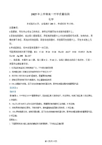 湖南省部分重点高中2024-2025学年高一下学期2月开学质量检测化学试题含答案