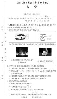 湖南省顶级名校2024-2025学年高一下学期2月入学考试化学试题PDF版含答案