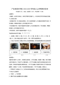 广东省部分学校2024-2025学年高二(上)期末联考化学试卷（解析版）