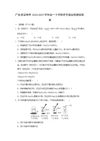 广东省深圳市2024-2025学年高一(下)开学适应性模拟测试化学试卷（解析版）