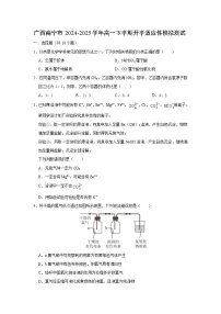 广西南宁市2024-2025学年高一(下)开学适应性模拟测试化学试卷（解析版）