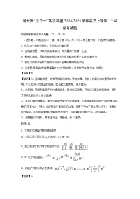 河北省“五个一”名校联盟2024-2025学年高三(上)12月月考化学试卷（解析版）