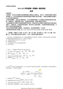 2024～2025学年广东省阳江市高新区高一上期末考试化学试卷(含答案)