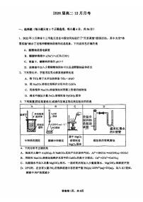 2024北京北师大二附中高二上12月月考化学试卷（无答案）