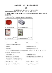 重庆市康德2024-2025学年高一上学期期末联合检测卷化学试题（Word版附解析）