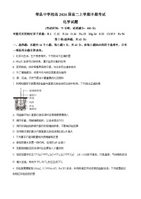 四川省自贡市荣县中学2024-2025学年高二上学期期中考试化学试题（Word版附解析）
