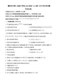四川省攀枝花市第三高级中学2024-2025学年高二上学期第三次月考化学试题（Word版附解析）