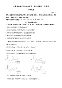 山东省济南市实验中学2024-2025学年高一上学期12月月考化学试题（Word版附解析）