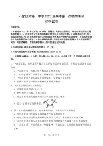 河北省石家庄市第一中学2025届高三下学期一模考试化学试题（PDF版附答案）