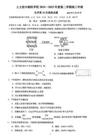 2025北京人大附中朝阳学校高三（下）月考统练十化学试卷（有答案）