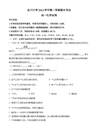 上海市宜川中学2024-2025学年高一上学期期末考试化学试题（含答案）