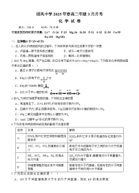 湖北省黄冈市团风中学2024-2025学年高二下学期3月月考化学试卷（含答案）