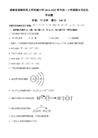 湖南省湖南师范大学附属中学2024-2025学年高一上学期期末考试 化学试题（含答案）