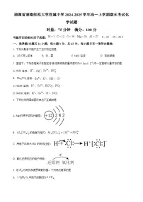 湖南省湖南师范大学附属中学2024-2025学年高一上学期期末考试 化学试题（含答案）