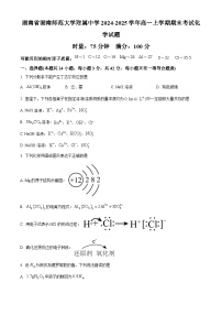 湖南省湖南师范大学附属中学2024-2025学年高一上学期期末考试 化学试题（原卷版+解析版）