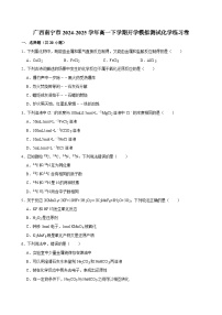 广西南宁市2024-2025学年高一下学期开学模拟测试 化学练习卷（含解析）