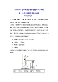 海南省部分学校2024-2025学年高一下学期第一次月考模拟考试 化学试题（含解析）