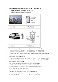 江西省赣州市部分学校2024-2025学年高二下学期开学考试 化学试题（含解析）