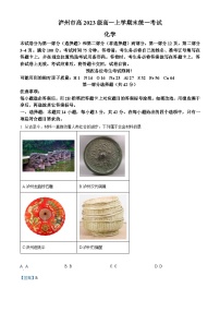 四川省泸州市2023-2024学年高一上学期1月期末考试化学试卷（Word版附解析）