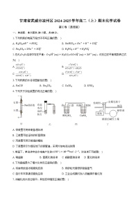 甘肃省武威市凉州区2024-2025学年高二（上）期末化学试卷【含答案】