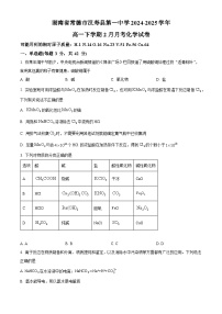 湖南省常德市汉寿县第一中学2024-2025学年高一下学期2月月考化学试题（原卷版+解析版）
