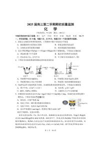 江苏南通学科基地2025届高三下学期期初质量监测化学试卷（含答案）
