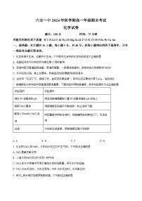 安徽省六安第一中学2024-2025学年高一上学期1月期末考试 化学试题（原卷版+解析版）