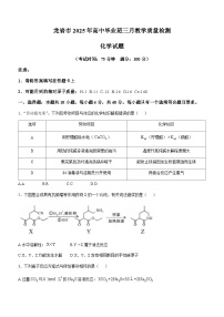 2025届福建省龙岩市高三下学期高考一模化学试题（含答案）