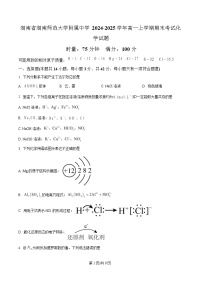 湖南省湖南师范大学附属中学2024-2025学年高一上学期期末考试化学试题（Word版附解析）