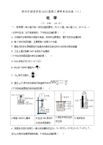 河南省郑州外国语学校2024-2025学年高三下学期调研考试（八）化学试卷（含答案）