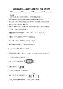 云南省丽江市2025届高三12月复习统一检测化学试卷(含答案)