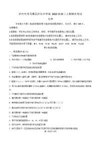四川省泸州市泸化中学2024-2025学年高二上学期1月期末化学试题（Word版附解析）